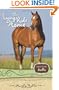 The Long Ride Home (Keystone Stables)