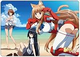 A3クリアデスクマット あそびにいくヨ!