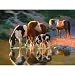 NightCap 1000pc Jigsaw Puzzle by Bonnie Marris