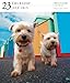 Dog Gallery 2015 Calendar