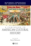 A companion to American cultural history