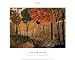 Pierre Bonnard (The Hind in the Undergrowth) Art Poster Print - 16
