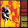 Use Your Illusion I