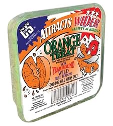 Bird Suet Treat, 11.75 oz Orange