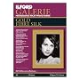 Ilford Galerie Gold Fibre Silk 21 X 29.7Cm (A4) X 10 Sheets - 310Gsm Baryta Inkjet Media