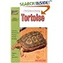 The Guide to Owning a Tortoise