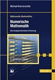 Numerische Mathematik: Eine beispielorientierte Einf&uuml;hrung - Michael Knorrenschild