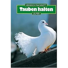 Tauben halten: Haltung, Zucht und Wettbewerbe