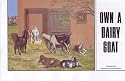 OWN A DAIRY GOAT