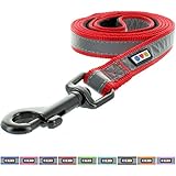 Pawtitas 6-ft Reflective Padded Dog Leash Red, Medium M/Large L 1 Inch