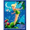 Disney Fairies paint by numbers