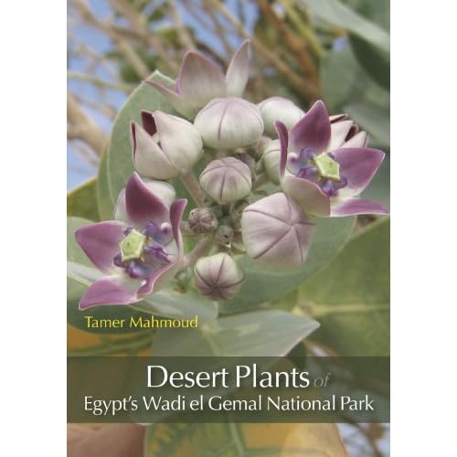 Egyptian Desert Plants