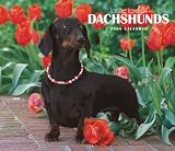 For the Love of Dachshunds 2008 Calendar