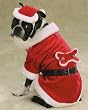 Dog Costume - Santa Paws (Pet Santa Claus Halloween or Christmas Costume) - Medium