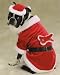 Dog Costume - Santa Paws (Pet Santa Claus Halloween or Christmas Costume) - Medium