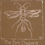 Dirt Daubers