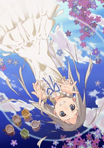あの日見た花の名前を僕達はまだ知らない。(限定版)