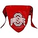 Hunter Company NCAA Ohio State Buckeyes Pet Bandana, Team Color, Large