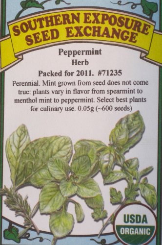 Peppermint Certified Organic Seeds 600 Seeds