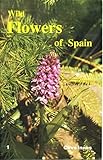 Wild flowers of Spain