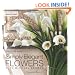Simply Elegant Flowers With Michael George