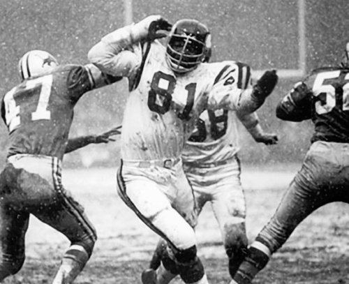 CARL ELLER MINNESOTA VIKINGS 8X10 SPORTS ACTION PHOTO (I)