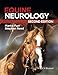 Equine Neurology