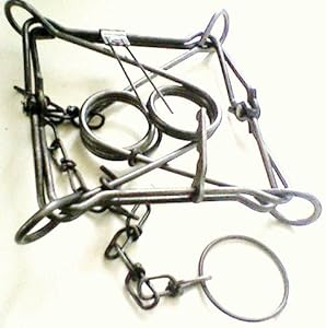 Amazon.com : Duke #160 Conibear Traps [Double Spring] Bodygrip Trap