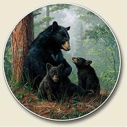 Black Bears Auto Coaster - Single Coaster for Your Car