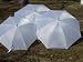 White Jumbo 68 Inch Golf Umbrella Bridal Wedding