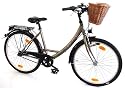 Texo Fahrrad 26 (559 mm) City Damen 3-Gang Rücktrittbremsnabe mit Weidenkorb, bronx, 44 cm