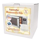 Fuseworks Beginners Microwave Kiln