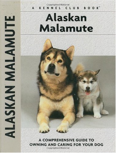 Buscando A Alaska Descargar Pdf Gratis