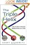 The Triple Helix: University-Industry-Government Innovation in Action