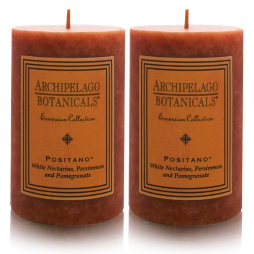 Archipelago Botanicals Excursion Collection Candle Pillar ( 3 in L x 2 in W ) (Duo Pillars) Positano