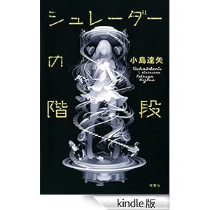 シュレーダーの階段