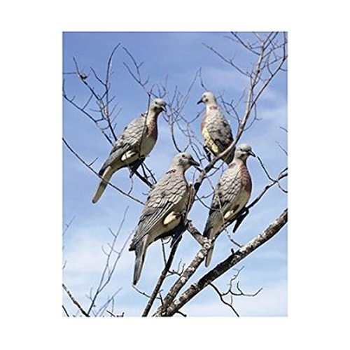 Lucky Duck 6 Pack Dove - 13816NFLQUJG