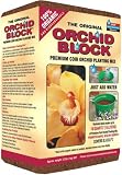 Element 6 100% Organic and Biodegradable Orchid Block #1004