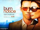 Burn Notice Poster TV F 11x17 Jeffrey Donovan Gabrielle Anwar Bruce Campbell Sharon Gless