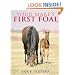 Your Mare's First Foal