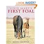 Your Mare's First Foal