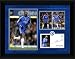 Nicolas Anelka Framed Player Profile Chelsea FC 16X12