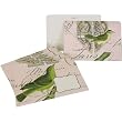 Green Bird on Pink Cavallini Set of 8 decorative envelopes with window
