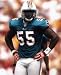 JOEY PORTER MIAMI DOLPHINS 8X10 SPORTS ACTION PHOTO (H)