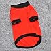 PanDaDa Pet Puppy Small Dogs Clothes Cotton Coats T-Shirt Apparel Red XX-Small