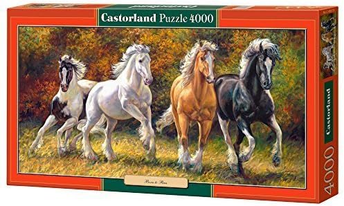Castorland Born to Run Jigsaw (4000-Piece) by Castor