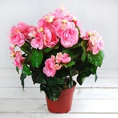 Seidenblume, k�nstliche Begonie rosa im Topf mit �ppiger Bl�te ca. 30cm