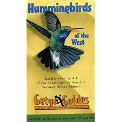 Hummingbirds of the West: Quickly Identify All of the Hummingbirds Found in Western United States
