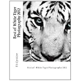 Best of  White Tiger Photography 2012