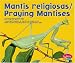 Mantis Religiosas/Praying Mantises (Pebble Plus Bilingual) by Margaret Hall